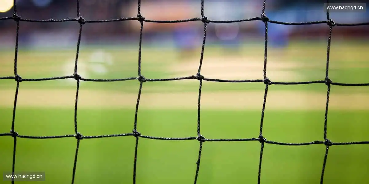 🌟激情时刻,不容错过!🏆冠军之路,与你共同见证!